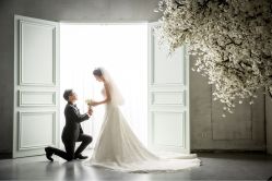 点击看大图 -韩国艺匠ARTIZ STUDIO(博览中心店)