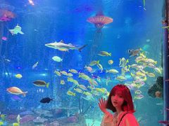 -沈阳海洋探索中心