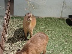 -天河体育中心