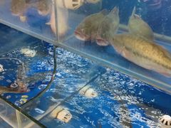 水产区-百家鲜·杭帮菜