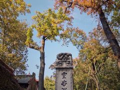 -灵谷景区