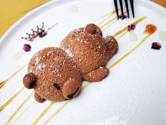 -酷豆宠物咖啡·宠物美食·撸猫馆