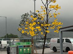-大澳渔村及棚屋