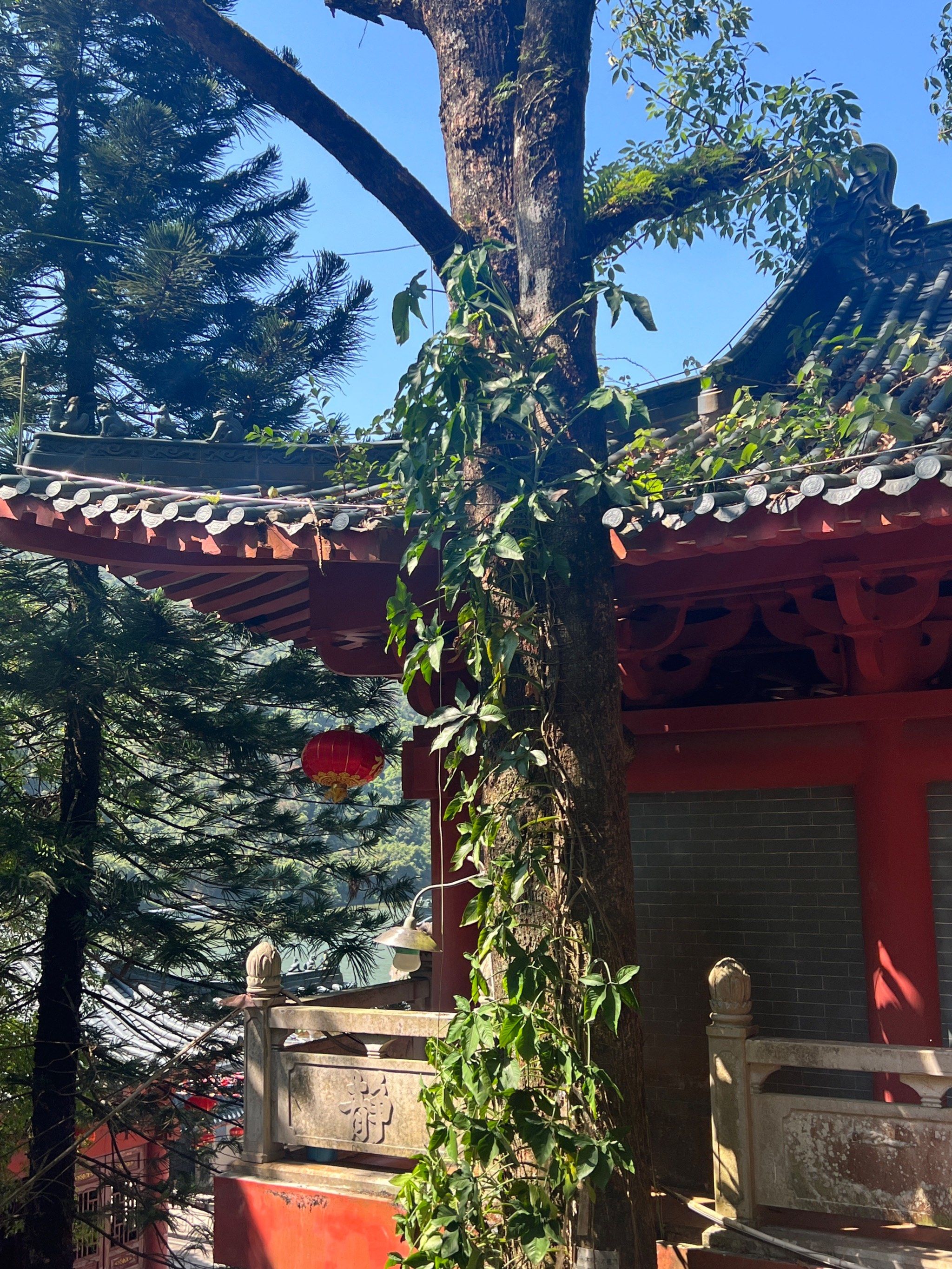 国庆人少景靓的清远免费景点:白庙-飞来寺