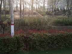 -淇河金沙滩
