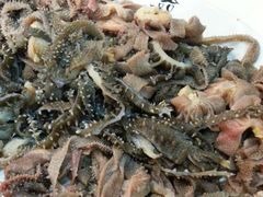 -福合埕牛肉丸(福平路店)