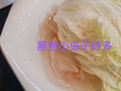 -三里屯土灶炖公鸡地锅鸡(江东店)