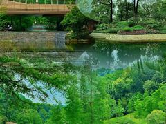 -云溪植物园