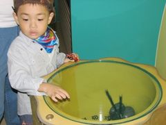 -上海昆虫博物馆