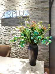 -Air Plus 美发沙龙