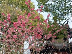 -梁鸿国家湿地公园