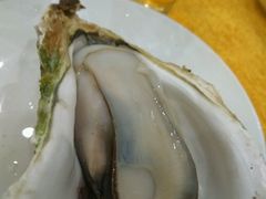 -蚝专家(北滘店)