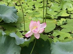 -厦门园林博览苑