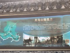 -上海佘山国家森林公园天马山园