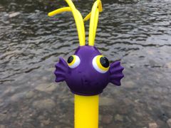 -白河湾生态旅游一条川