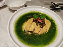 青葱姜蓉嫩鸡-青雅中餐厅(大连金石滩绿发希尔顿度假酒店)