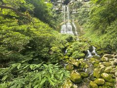 -鹿院坪生态旅游景区