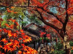 -惠山古镇·寄畅园