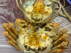 -乡乐园蟹庄·阳澄湖农家乐