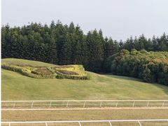 -迪茵湖田家舍生态农场