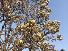 -国家植物园