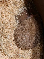 -Zoolung Zoolung动物主题公园(海信广场店)