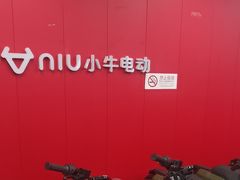 -小牛电动体验·租电动车(德胜门店)