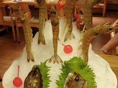 -尚海豆捞(乐虹坊店)