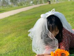 -瑶湖郊野森林公园