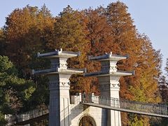 -东湖落雁景区