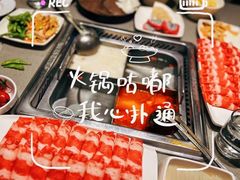 -海底捞火锅(新华联梦想城店)