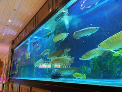 -弘安丽水温泉酒店