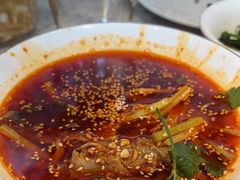 -天辣(金桥啦啦宝都店)