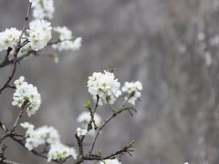 -东山风景区(洞庭东山)