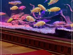 -Golden Lily河内巴黎法越料理餐厅(建国西路店)