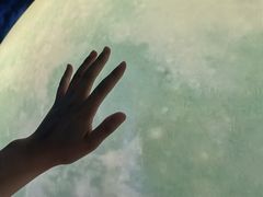 -天津梵高星空艺术馆(天河城旗舰店)