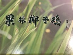 -百年果林椰子鸡(中洲店)