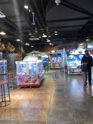 -卡通尼·Safari非洲探索乐园·生日会(金桥国际商业广场店)