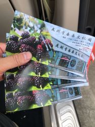 点击看大图 -太湖雪蚕桑文化园