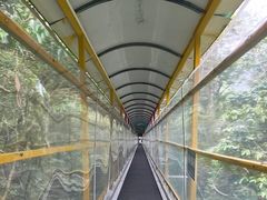 -七仙岭温泉国家森林公园