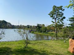 -王借岗森林公园