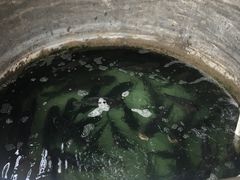 -贤鲁岛贤溪农庄