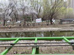 -长白岛森林公园