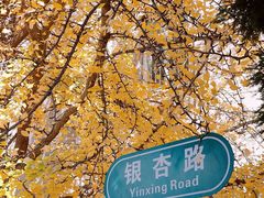 -辽宁大学(崇山校区)