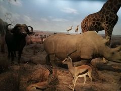 -上海浦西开元大酒店