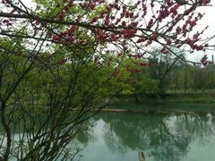 -贵阳市花溪国家城市湿地公园