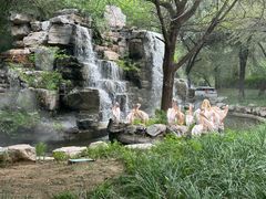 -北京野生动物园