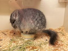 -龙猫仔乐园(惠福东路店)