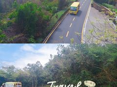 -亚龙湾热带天堂森林公园