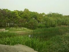-新江湾城公园